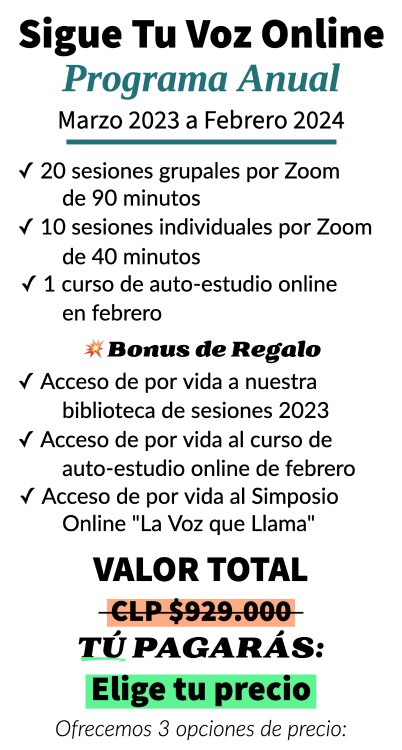 STV 2023 Online.ok